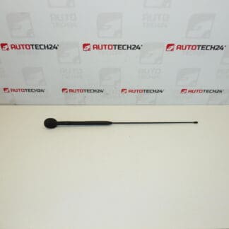 Antenne komplett Citroën C3 Pluriel 6561R7 656197