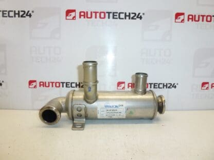 Gaskühler 1.6 HDI Citroën Peugeot 9646762280 161863