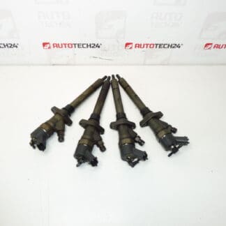 Einspritzset Bosch 2.0 und 2.2 HDI 0445110036 Laufleistung 182000 km