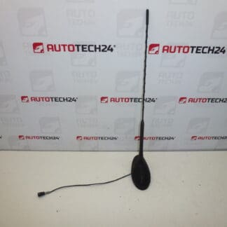 Antenne mit Unterlegscheibe Citroën C5 9650910980 6561Y0