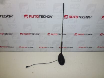 Antenne mit Unterlegscheibe Citroën C5 9650910980 6561Y0